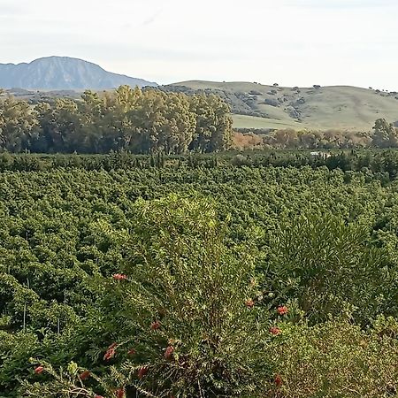 Los Dos Cedros San Pablo Kültér fotó