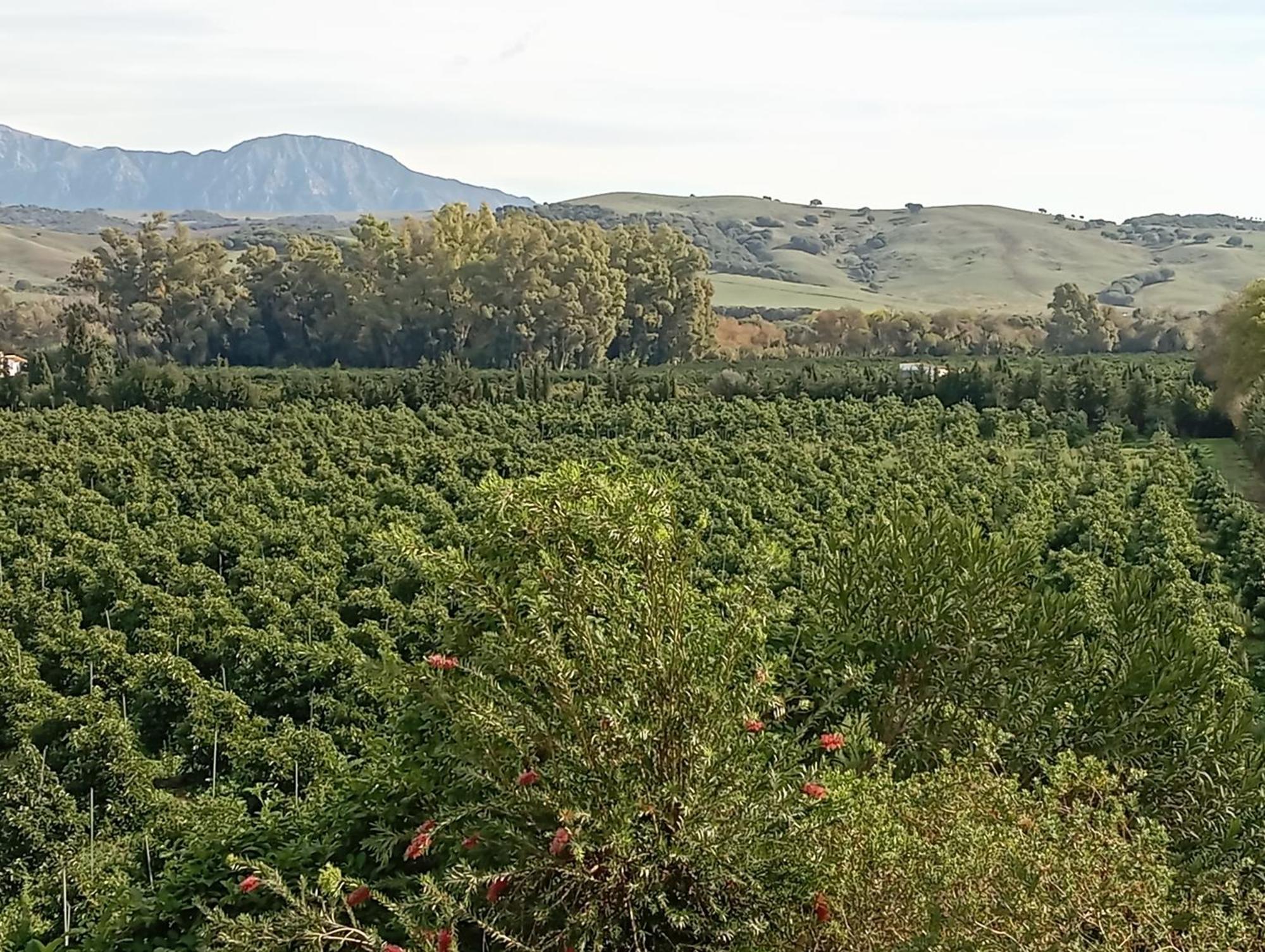 Los Dos Cedros San Pablo Kültér fotó